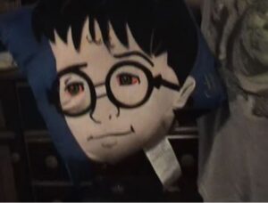 Harry Potter Pillow (2005)